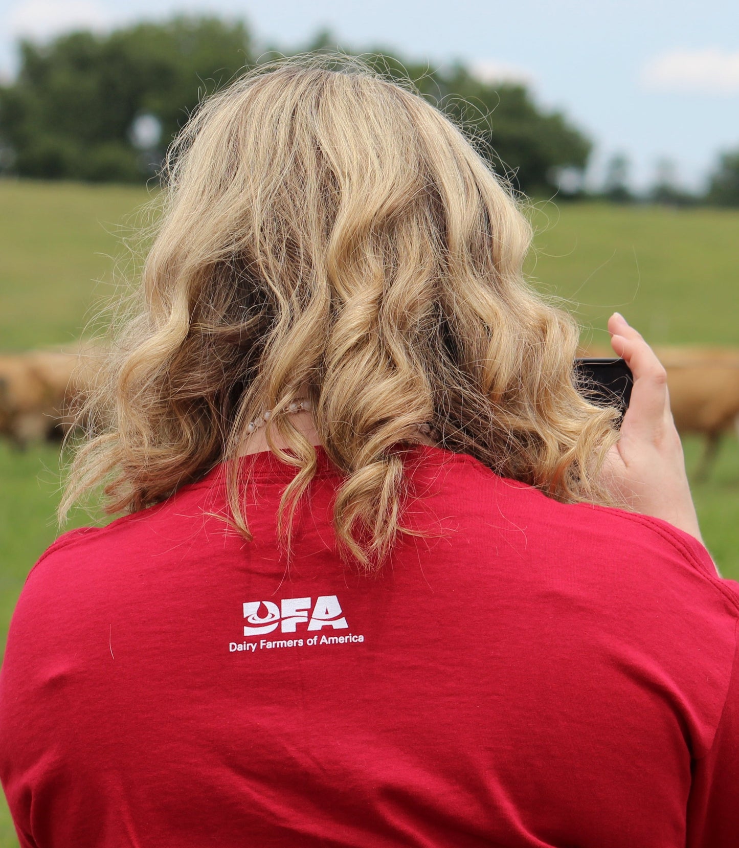 "Dairy Farmers of America est. 1998" short-sleeve t-shirt