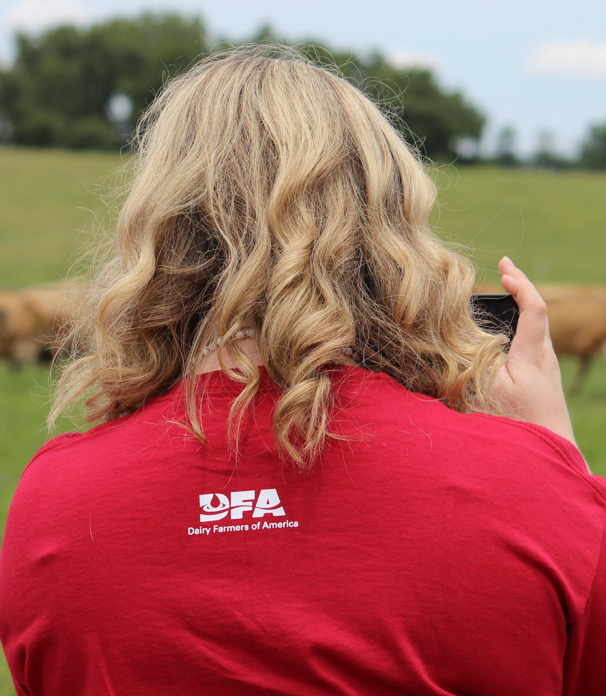 "Dairy Farmers of America est. 1998" shortsleeve tshirt Dairy