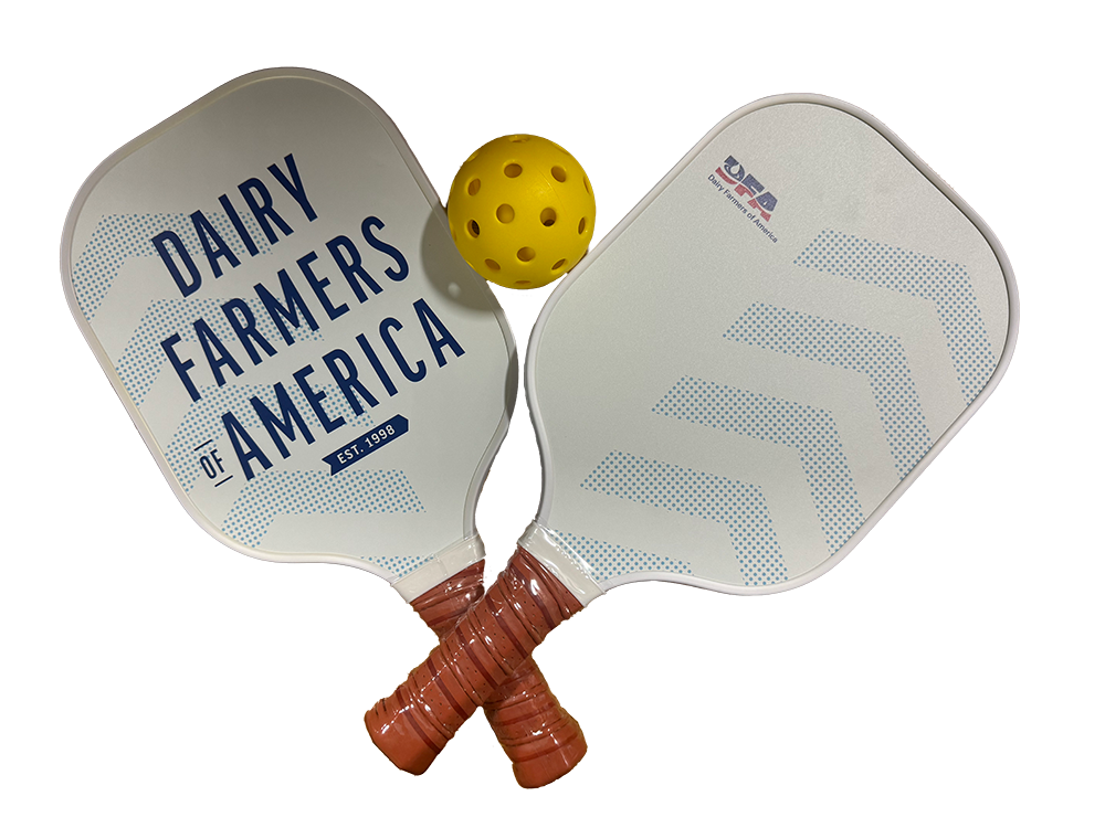 Pickleball Set
