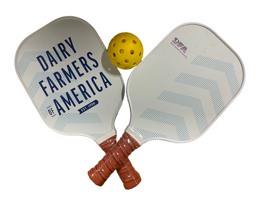 Pickle Ball Set