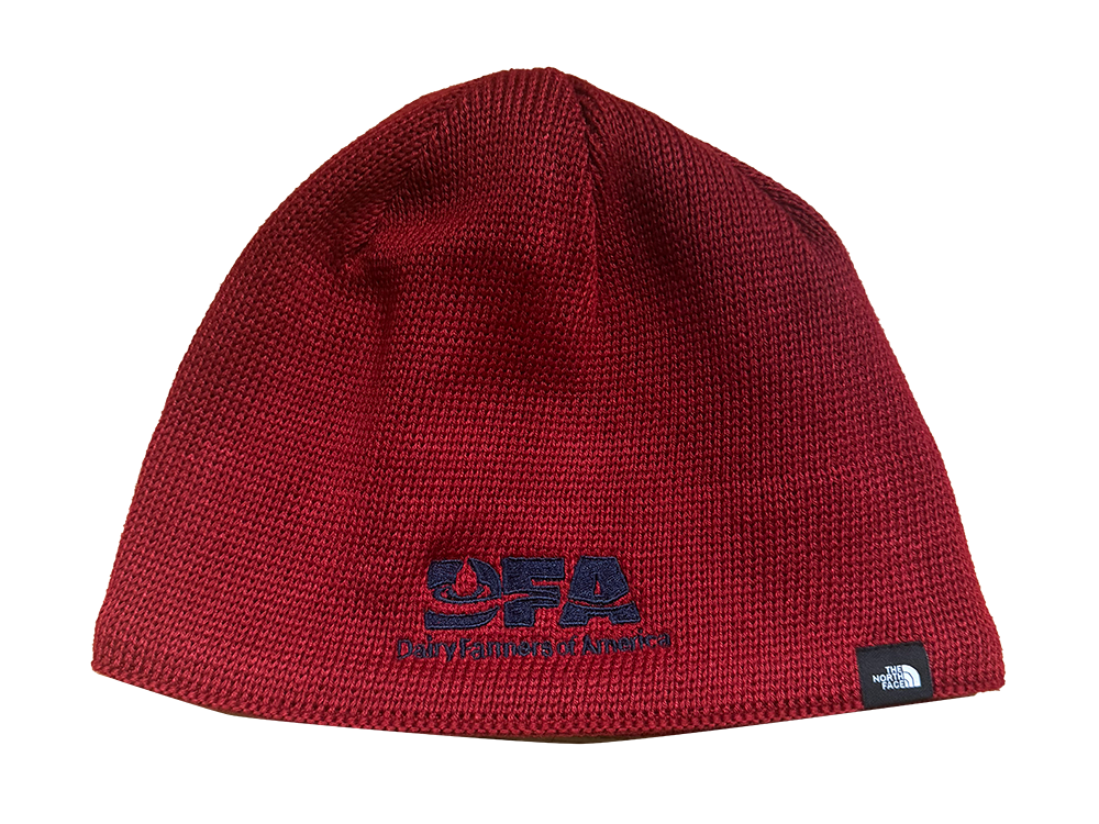 Northface Beanie