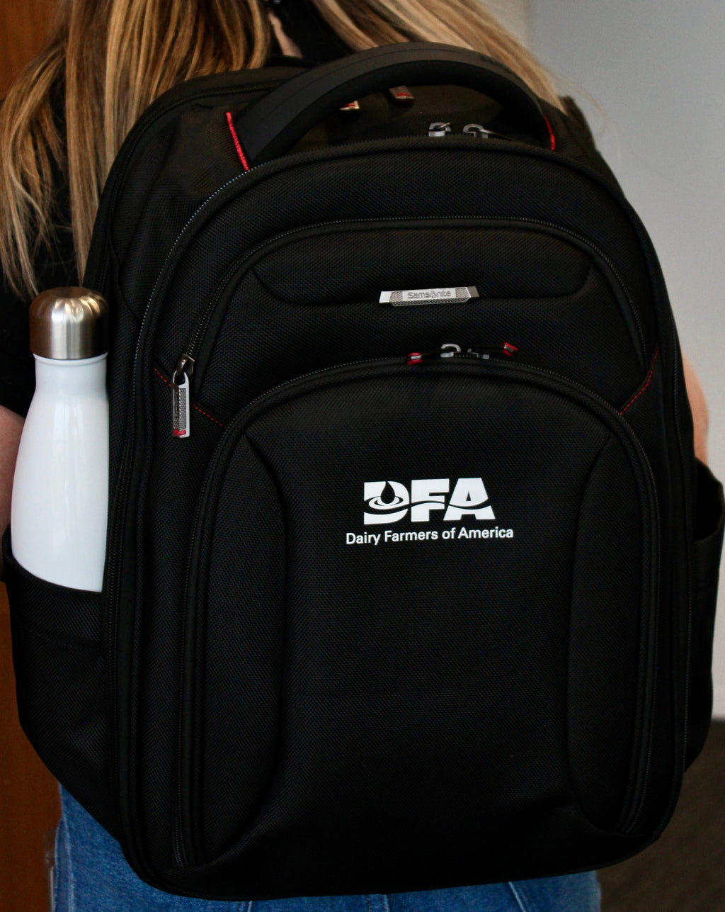 DFA Samsonite Large Computer Backpack