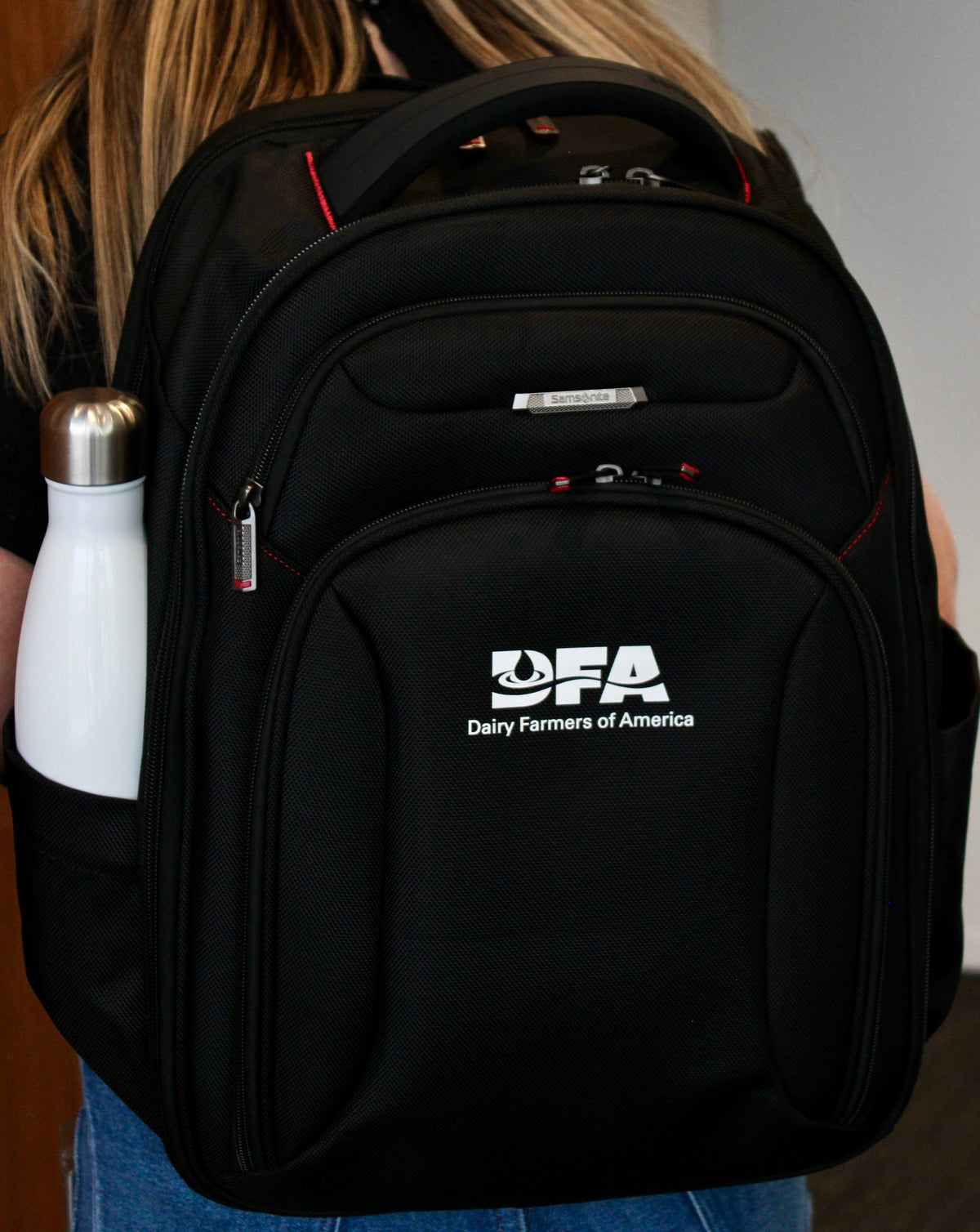 DFA Samsonite Large Computer Backpack